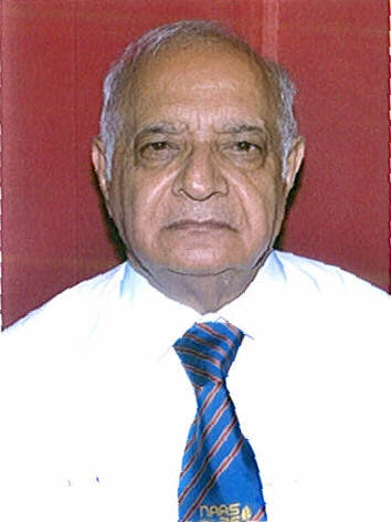 Prof. P. L. Gautam